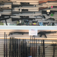 firearm-2 firearm-2